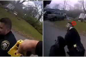 笑噴！警察掏電擊槍打算制伏嫌犯，竟「射到旁邊同事」烏龍畫面讓網友笑倒（影）