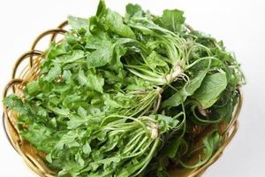 農村的野菜薺菜竟有這麼多功效春季不吃待何時？