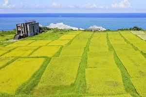 花蓮石梯灣118旅館建築朝聖住在海邊稻田中每一扇窗是一幅畫