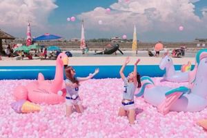 東石海之夏季網美球池太夢幻！外國朋友大讚狂拍照