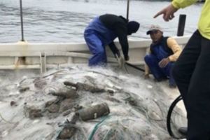 台漁民出海捕魚竟撈到不明物體嚇得急報警