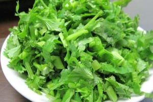 冬天經常吃香菜，有2種食療好處，但營養師提醒：1類人別多吃