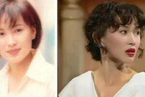 香港演職業劇最好的女演員，歷經風光，也曾滄桑，遭遇的婚姻問題，堅強的女子走到現在也著實不容易