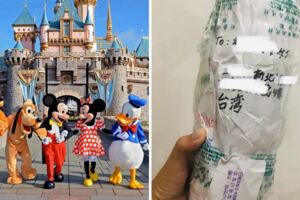 水瓶掉了「迪士尼承諾找到會寄回台灣」　她苦等1個月…剛放棄結局就逆轉了