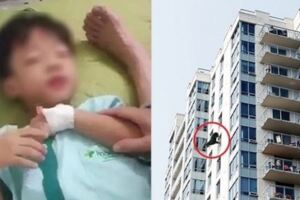 兩歲女兒被咬，他一氣之下把西施犬從12樓丟下去！論壇文章掀正反論戰正方：爸爸太過分反方：狗飼主不對！