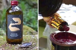 獵奇口味「蟲蟲琴酒」開賣　蟲汁新鮮現榨挑戰酒咖的膽量