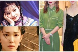 小龍女小燕子同框！2大女星「隔20年為活動罕見合體」　「凍齡美貌」掀起粉絲無限回憶