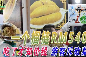 一個榴槤RM540！吃了才知價錢遊客斥砍菜頭