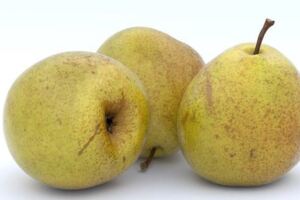 秋季重在補肺！吃梨不僅潤肺止咳，還有2個益處！但2類人最好少吃
