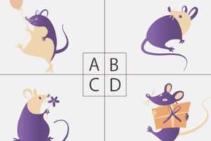 心理測試：第一眼你注意到哪只老鼠？測你這輩子是什麼命？