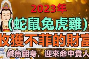 2023年收獲不菲的財富，鹹魚翻身，迎來命中貴人的生肖