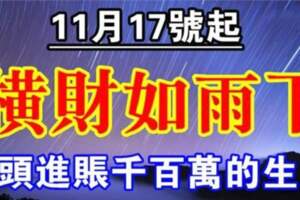 11月17號起橫財如雨下個不停，悶頭進賬千百萬的生肖