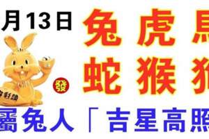 12月13日生肖運勢_兔、虎、馬大吉