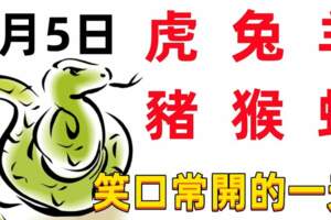 1月5日十二生肖【每日老黃曆】