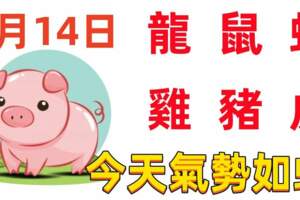 1月14日十二生肖【每日老黃曆】