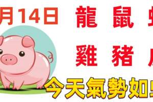 1月14日十二生肖【每日老黃曆】