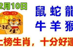 2月10日生肖運勢_鼠、蛇、龍大吉