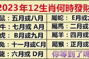 2023年12生肖何時發財，準備迎接你的財富吧