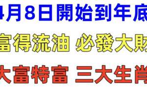 4月8日到2023年底財是橫財，喜是大喜，必發大財的生肖