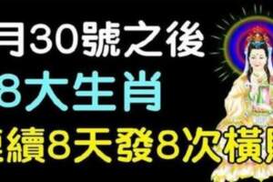 8月30號之後，八大生肖連續八天發八次橫財