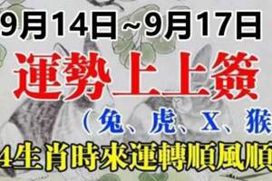 9月14日~9月17日運勢呈上上簽（兔虎X猴）時來運轉順風順水