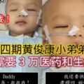 【媽咪，Daddy，我還不想放棄，救救我！】【我還要快高長大孝順回Daddy和媽咪】【腦癌第四期黃俊康小寶寶需3萬醫藥與生活費】