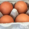 國產雞蛋芬普尼超標連成蛋場超標達30倍