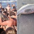 海豚寶寶被自私遊客拖上岸「輪流自拍」，結果竟導致牠因缺水而痛苦死去…