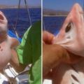 墨西哥漁民捕捉到「外星生物」，全身呈粉紅色，眼睛還很大…嚇得他趕快放生！知道真相後的他哭笑不得！