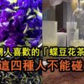 深受台灣人喜歡的「蝶豆花茶」花青素10倍喝，兩步自製蝶豆花茶，抗老抗氧化、預防糖尿病，一杯6種功效「但唯獨這四種人不能碰」