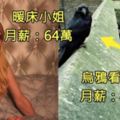 7種想破頭也不知道為什麼這麼「高薪的神祕職業」！#3「獵酷師」月薪100萬元！！