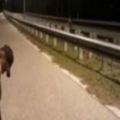 可怕！半夜山路遇「魔神仔騎車」他錄下全過程，10秒衝向鏡頭嚇死人！(有片)