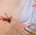 教你幾個天然小妙招，「驅蚊滅蚊」功效好！