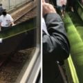 大阪6.1級地震「車長拆座椅當逃生梯」　網讚：電車裡原來有這樣的安全設計