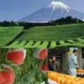 日本農業，到底比我們強在哪？