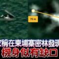 英專家稱在柬埔寨密林發現MH370機身似有缺口|