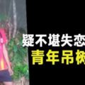 疑不堪失戀打擊青年吊樹自殺