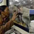 白血病女子火車站崩潰大哭，56歲母親去新疆摘棉花給她續命！