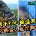 小男孩不小心跌入池塘，結果被食人魚吃的只剩下骨架！母親哭得死去活來！【內有視頻慎入！】