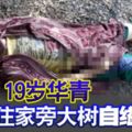 悲！19歲華青住家旁大樹自縊身亡