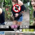 泰國色猴把女遊客衣服拉下！下一秒尷尬了.....【視頻】