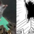 日本網友吐槽：我家倉鼠是不是看了什麼奇怪的動畫？