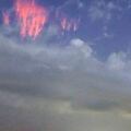 巨大「紅色水母」在美國上空一閃而逝，這次跟不明飛行物無關