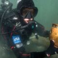 海底遺跡的重要發現
