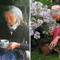 92歲奶奶是「世界最受憧憬的女人」！　隱居山林35年「沒水沒電」卻活得像油畫