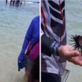 小琉球海膽遭遊客「破開吃完」　解說員心痛無奈：可惡啊…