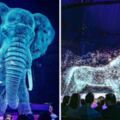 動物不該是娛樂工具！　馬戲團不用動物「3D投影」觀眾大讚：更精彩