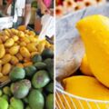1公斤12元也沒人要！　芒果產量「爆出200萬公斤」　菲律賓政府懇求：大家快買