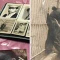 最強阿嬤「把台灣黑熊當狗養」　照片真相曝光「故事結局逆轉」