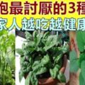 「腫瘤細胞」最怕3種蔬菜，陽臺栽上幾盆，綠色健康又好吃